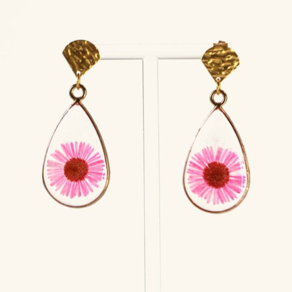 Suzanne · Aster fuchsia