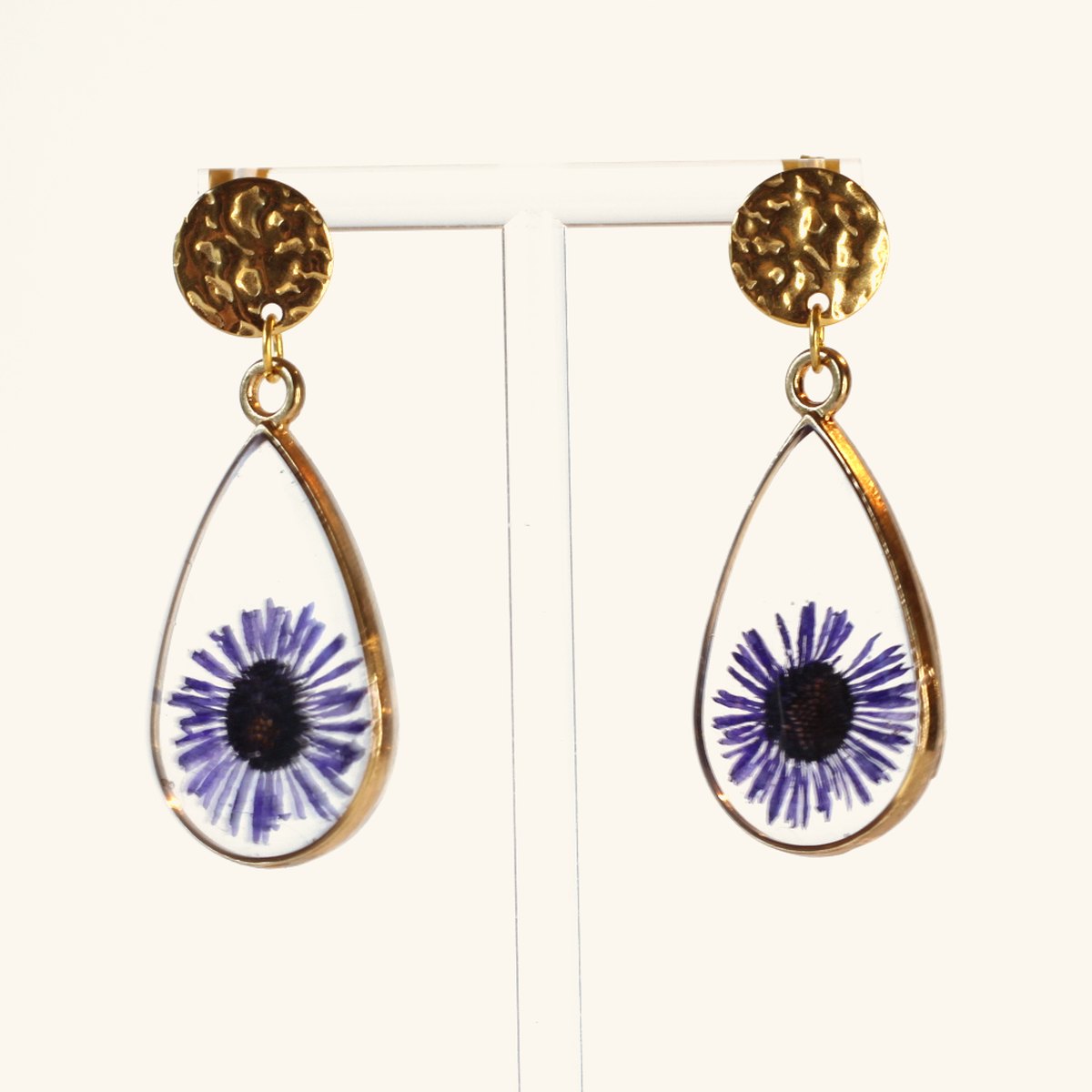 Odette · Aster violet