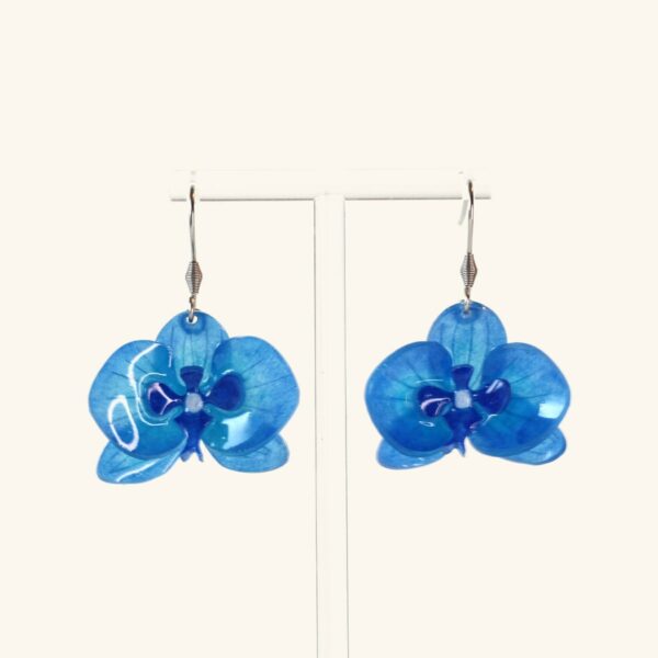 Louise · Orchidée bleu roi